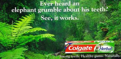 Colgate 9